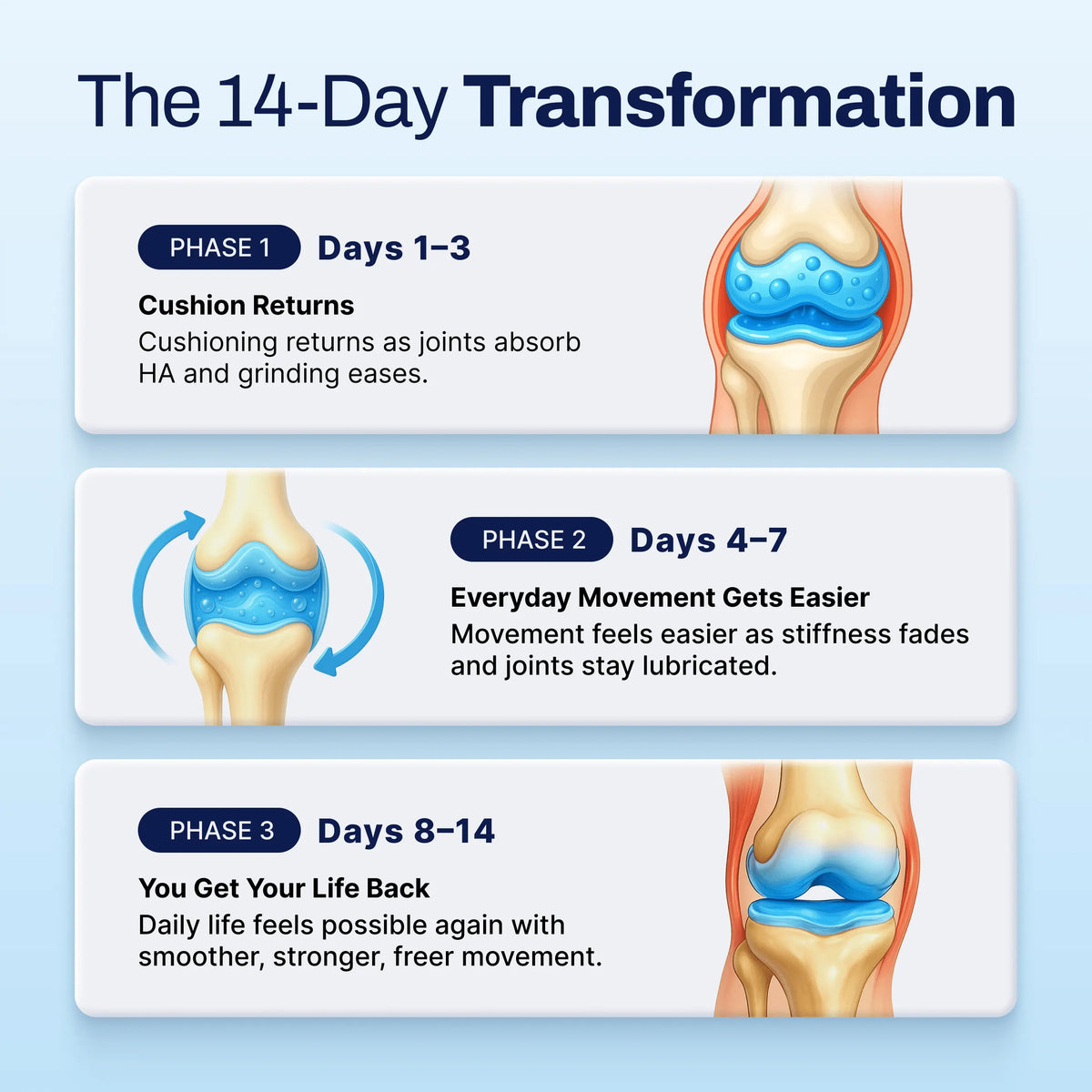 Hyaluronic Acid Capsules