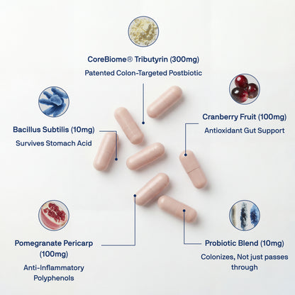 Stop Bloating & Restore Regularity with Daily Tribiotic Pre+Pro+Postbiotic